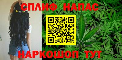 МДПВ Владикавказ