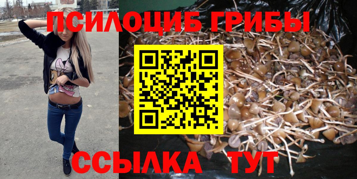 Псилоцибиновые грибы мицелий Великий Устюг